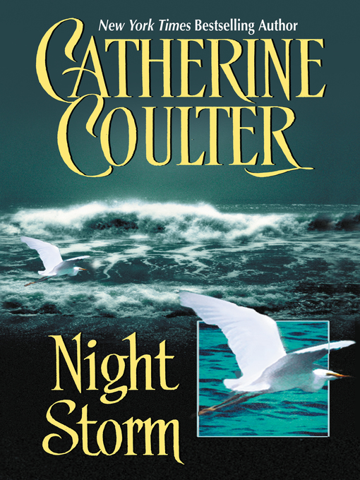 Title details for Night Storm by Catherine Coulter - Wait list